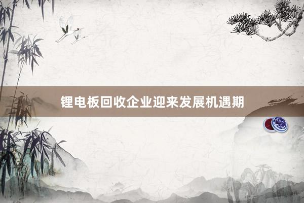 锂电板回收企业迎来发展机遇期